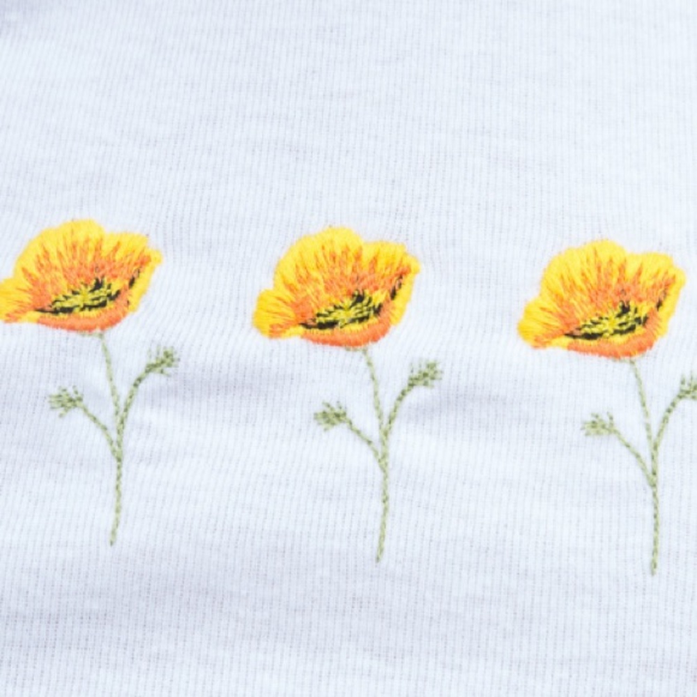 Brandy Melville Ashlyn Poppy Top - Picture 4 of 5